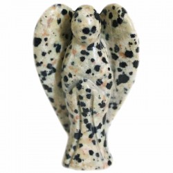 Jaspe dalmatien