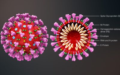 Vaincre ensemble le coronavirus